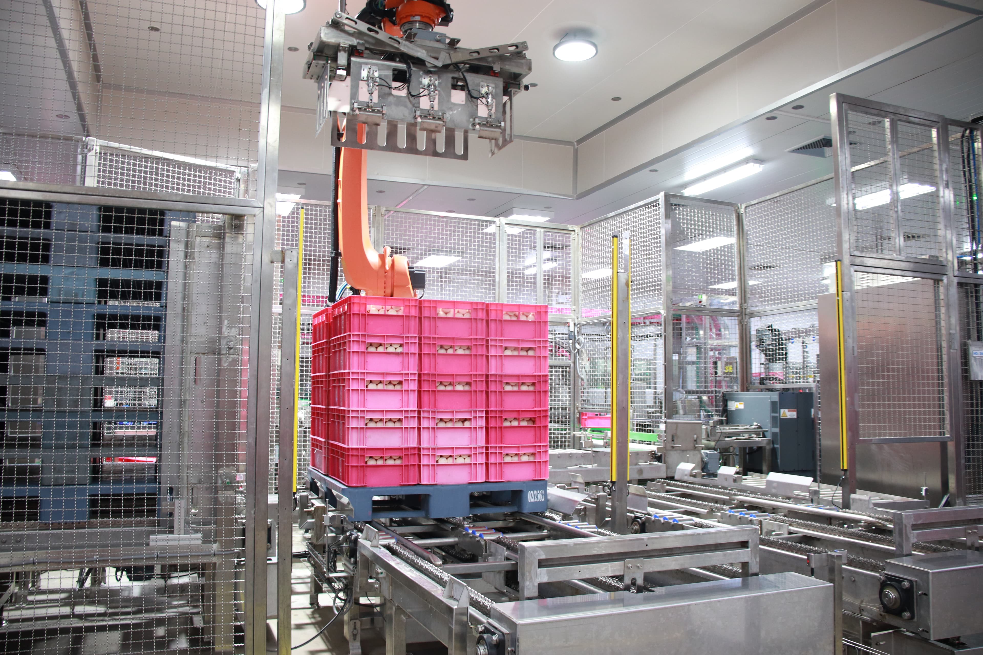  Automatic Packing Line and Palletizing System