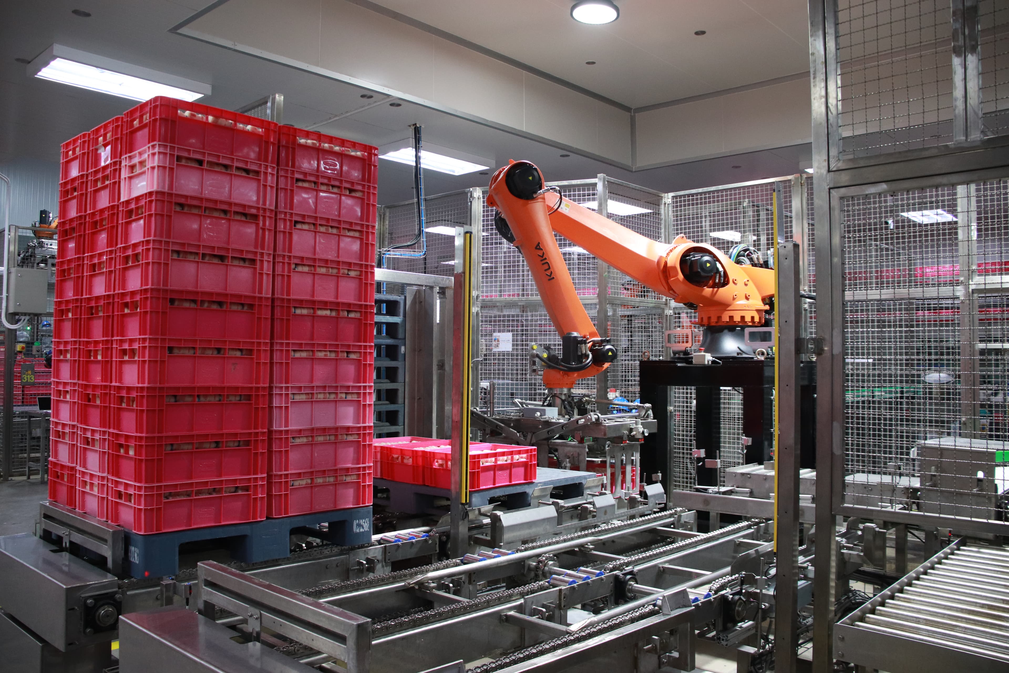 Success Story Slat Conveyor